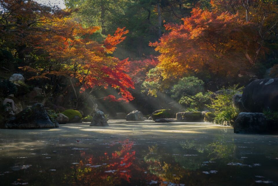 Slow Travel in Japan with a quiet rail line through tea fields at sunrise