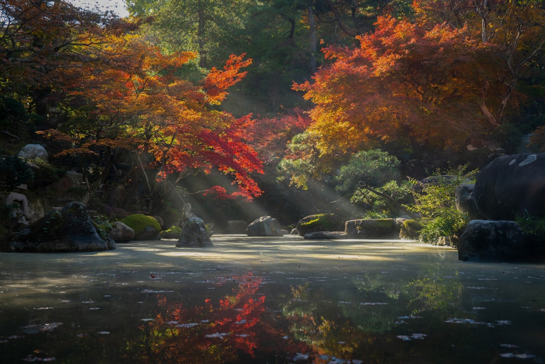 Slow Travel in Japan with a quiet rail line through tea fields at sunrise